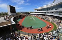 A tour to enjoy Japanese official gambling (horse racing, bicycle racing, pachinko)
