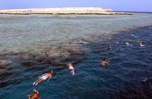 Orange Bay Giftun Island Hurghada Snorkeling Trip