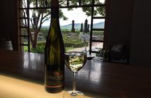 Wine trail and Christchurch City - Luxury, Small Group Tour
