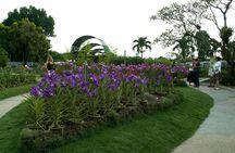 Bird Park & Butterfly Farm Nature Tour From Kuala Lumpur