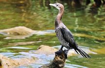 Day Tour to Anawilundawa Wetland Sanctuary