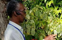 The Grand Tour of St. Kitts