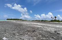 REEF ISLAND | private island | pink sand | natural swimming pools