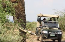 Kruger National Park Sunset Drive and Bush Braai