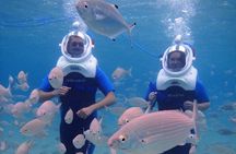 Sea Trek Diving Experience in Costa Teguise