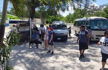 Scenic Island Private Tour