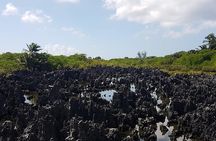 Scenic Island Private Tour