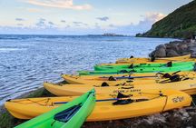 Night Kayaking Experience on Bioluminescent Lagoon in Fajardo