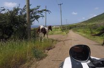 Off roading Morning Excursion