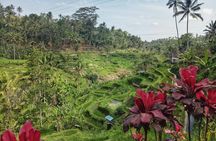 Best Selection Tour In Ubud-Bali 