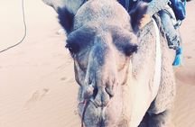 3 Days Safari to Chegaga from Marrakech