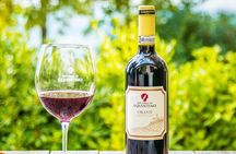 Guided tour in San Miniato and wine tasting!