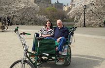 Central Park, Rockefeller & Times Square Pedicab Tour 
