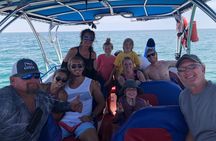 Dolphin-Watching Speedboat Cruise in Destin Harbor