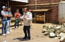 Tequila Route Experience from Guadalajara