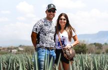 Tequila Route Experience from Guadalajara
