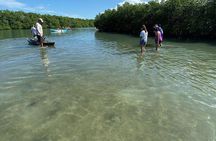Clear Kayak Tours in Fort Pierce