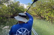 Clear Kayak Tours in Fort Pierce