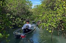 Clear Kayak Tours in Fort Pierce