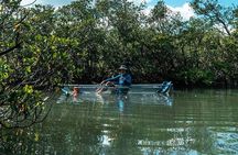 Clear Kayak Tours in Fort Pierce