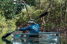 Clear Kayak Tours in Fort Pierce