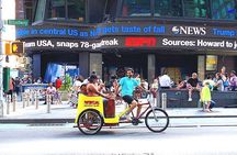 New York City: Guided Private Pedicab Tour in Central Park