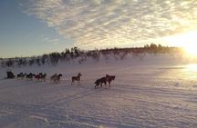 Privat sled trip with husky in the alta valley