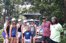 Off Road Rain Forest 4X4 Drive in St. Kitts