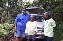 Off Road Rain Forest 4X4 Drive in St. Kitts