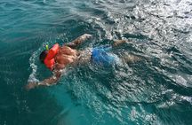 Private Half Day Charter