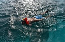 Private Half Day Charter