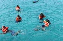 Private Half Day Charter