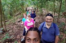 Tropical Rain Forest Explorer Hike In St. Kitts