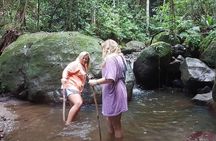 Tropical Rain Forest Explorer Hike In St. Kitts