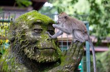 Best of Ubud Full-Day Tour with Jungle Swing