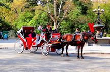 Horse Carriage Ride to/from Tavern On The Green (Up to 4 Adults)