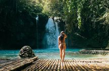 Whale Shark Encounter & Sumilon Sandbar & Canyoneering in Kawasan Falls