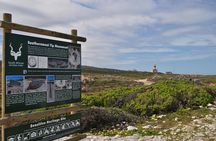  Cape Agulhas Full Day Private Tour