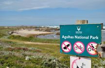  Cape Agulhas Full Day Private Tour