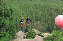 Lembang Tour From Bandung