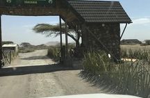 Historical tour Tour at Olduvai Gorge