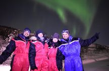 The Aurora Tour - small group, northern lights