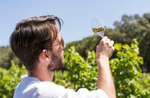 Bandol & Cassis Wine Tour From Aix en Provence