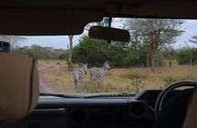 Full-Day Lake Mburo National Park Safari with Boat trip (2 day option available)