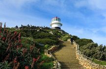Cape Town: Cape Peninsula Tour
