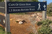 Cape Town: Cape Peninsula Tour