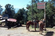 Paricutin Volcano Tour (Morelia)