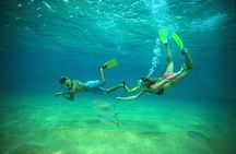 Beach Hopper Snorkeling Tour in Los Cabos