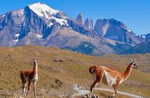 Full Day Torres del Paine Tour
