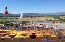 Private Wine Tasting tour in Casablanca Valley Vineyards